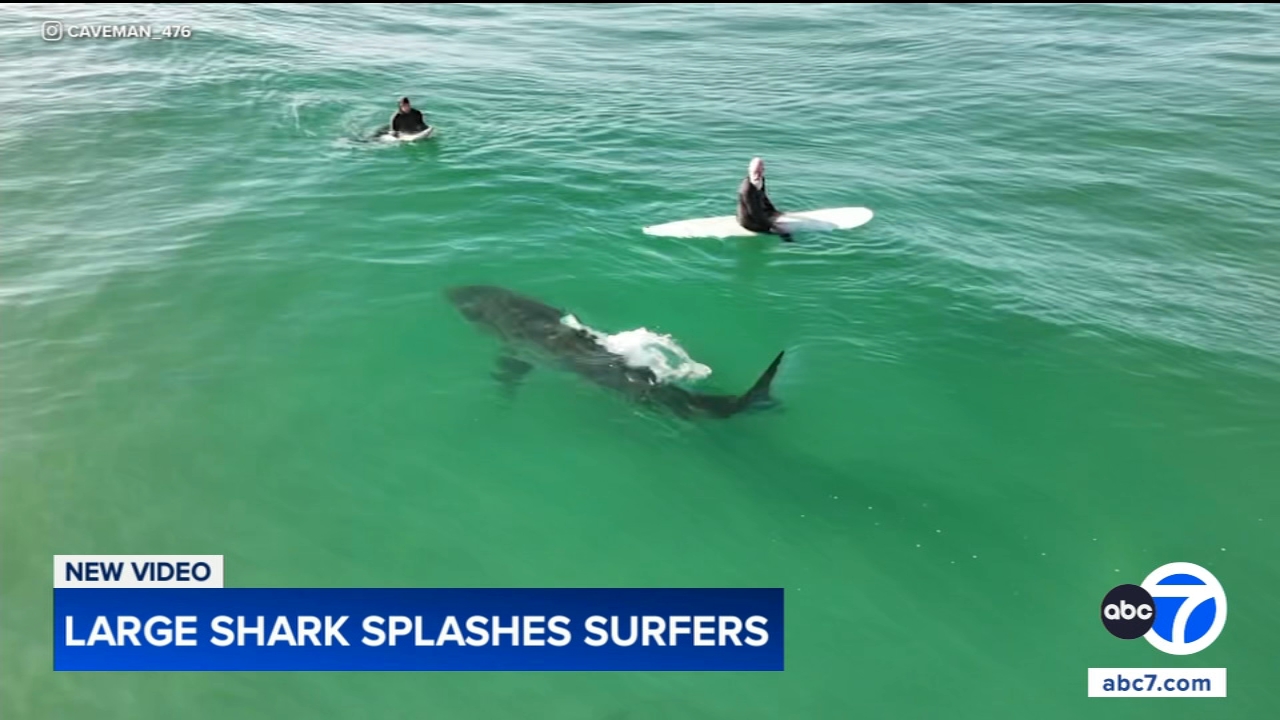 Shark swims near surfers, splashes one with its tail in close encounter off California coast, video shows
— Schaumburg Sports news