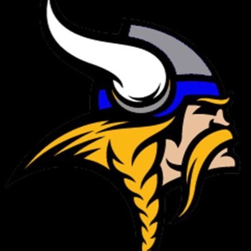Newark volleyball tops Morrison, advances to regional finals: Wednesday’s Record Newspapers sports roundup — Schaumburg Sports news